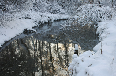 Similar image 1146204