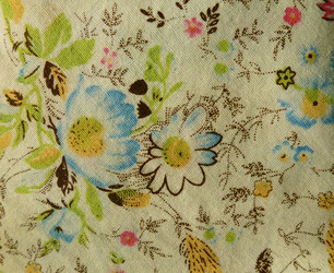 Similar image 1146205