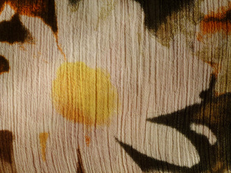 Similar image 1146206