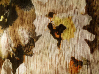 Similar image 1146207