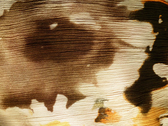 Similar image 1146208