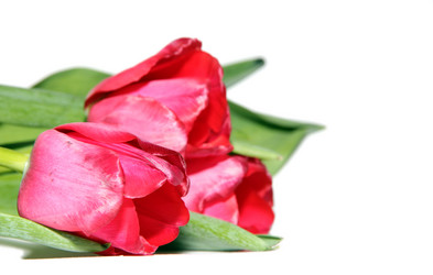 Similar image 1146211