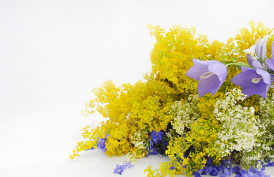 Similar image 1146215