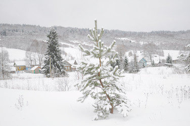 Similar image 1146216