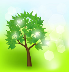 Similar image 1146224