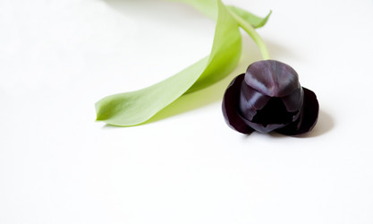 Similar image 1146247