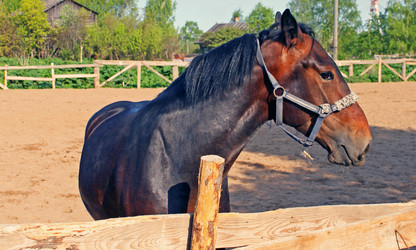 Similar image 1146251