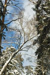 Similar image 1146259