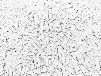 Similar image 1146265