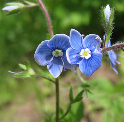 Similar image 1146282