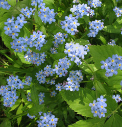 Similar image 1146284