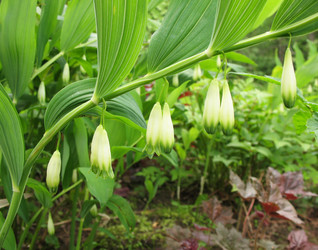 Similar image 1146300