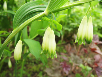 Similar image 1146302