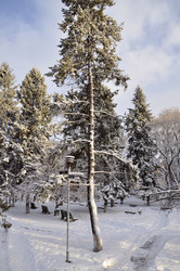 Similar image 1146305