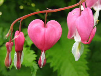 Similar image 1146306