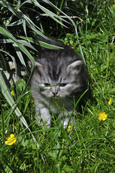 Similar image 1146307