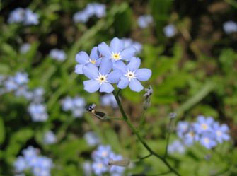 Similar image 1146313