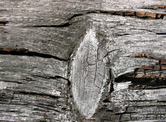 Similar image 1146314