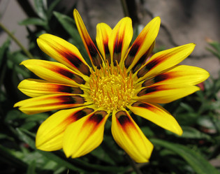 Similar image 1146330