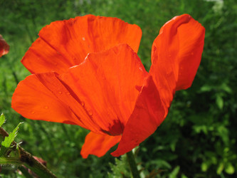 Similar image 1146333