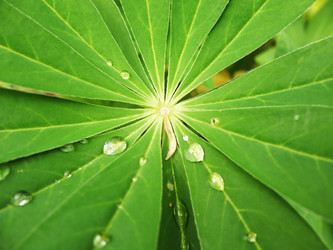 Similar image 1146337