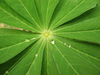 Similar image 1146338