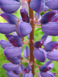 Similar image 1146339