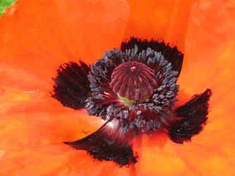 Similar image 1146340