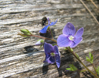 Similar image 1146348