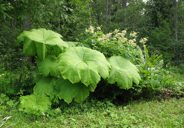 Similar image 1146354