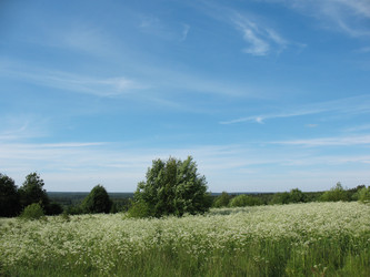 Similar image 1146355