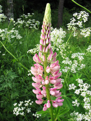 Similar image 1146358