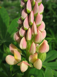 Similar image 1146359