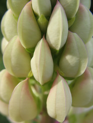 Similar image 1146360