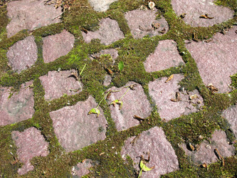 Similar image 1146371