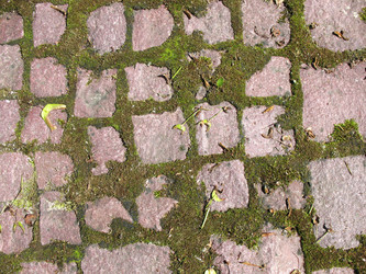 Similar image 1146372