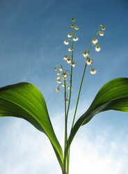 Similar image 1146379