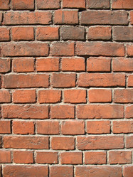 Similar image 1146388