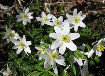 Similar image 1146390