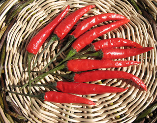 Similar image 1146398