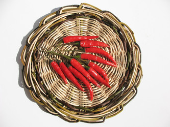 Similar image 1146399