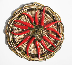 Similar image 1146400