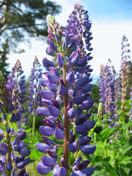 Similar image 1146405