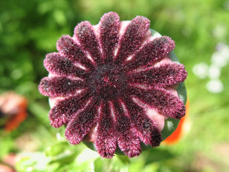 Similar image 1146408