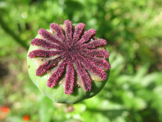 Similar image 1146409