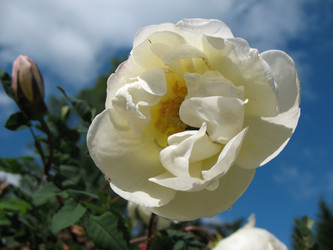 Similar image 1146411