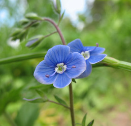 Similar image 1146412