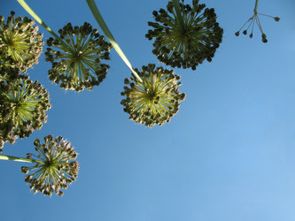 Similar image 1146414