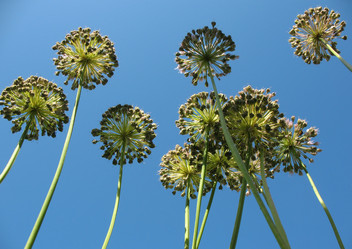 Similar image 1146415