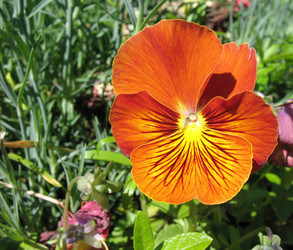 Similar image 1146417